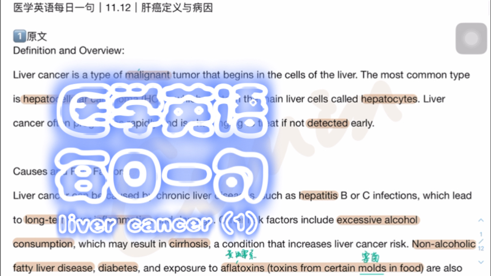 医学英语每日一句|11.12|肝癌定义与病因哔哩哔哩bilibili