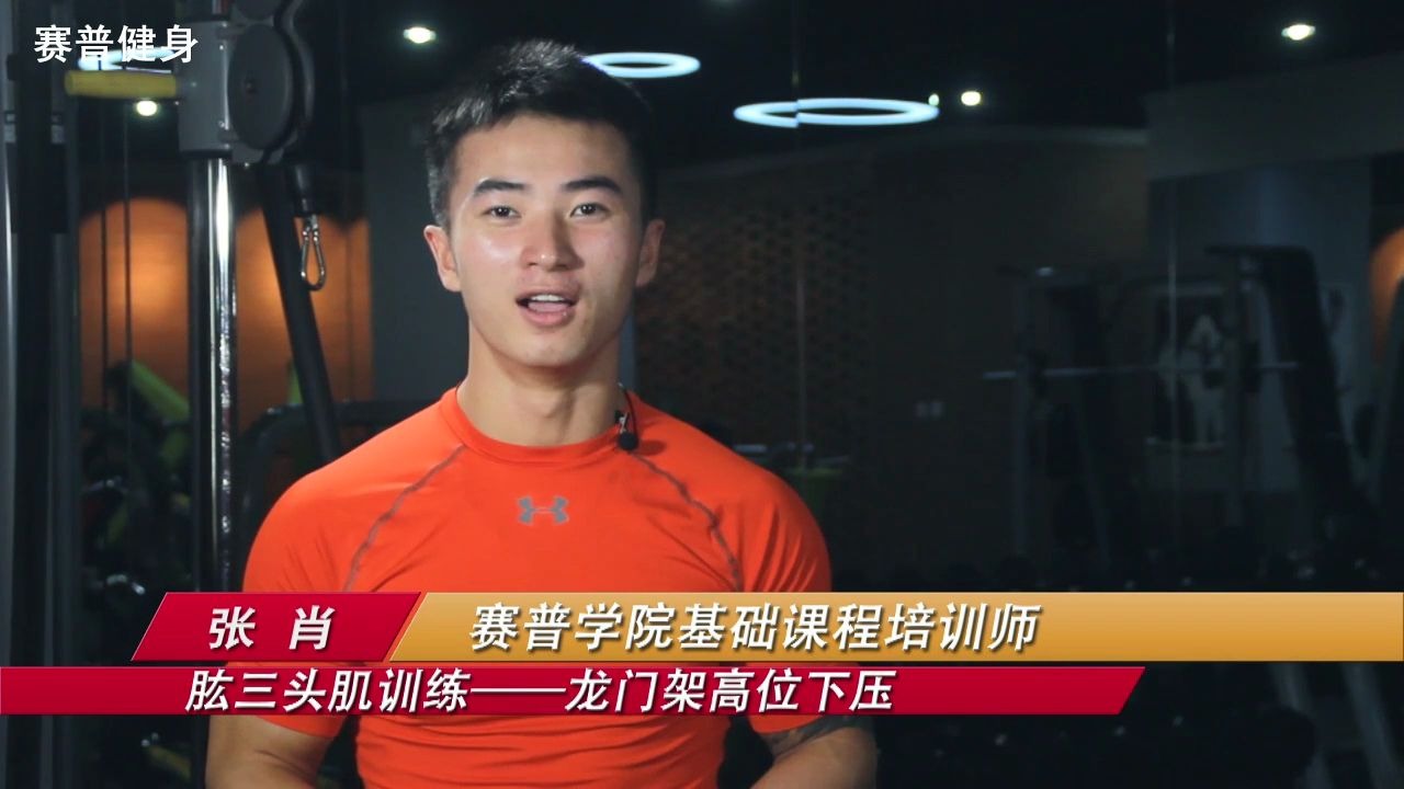 赛普教学视频第六期肱三头肌训练之龙门架高位下压