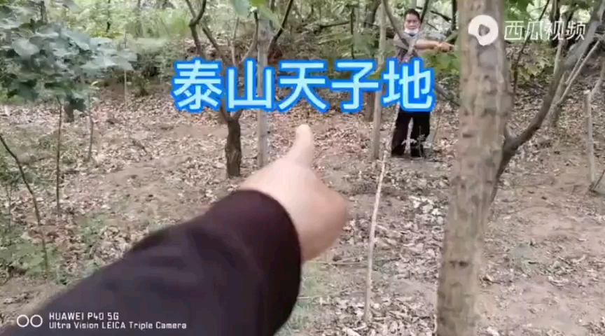 [图]寻龙派风水勘察泰山天子地