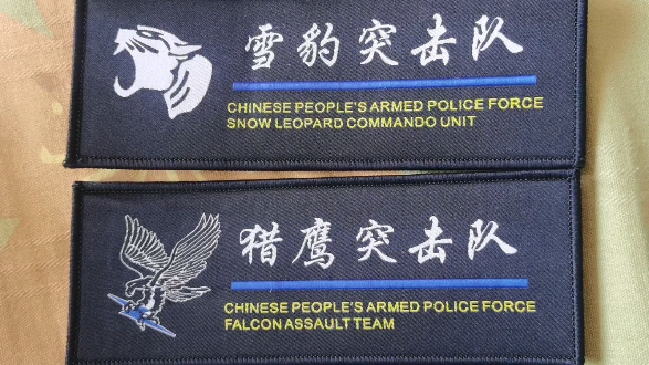 雪豹突击队,猎鹰突击队,战术背心前胸大贴