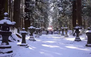 雪映峰神社 搜索结果 哔哩哔哩 Bilibili