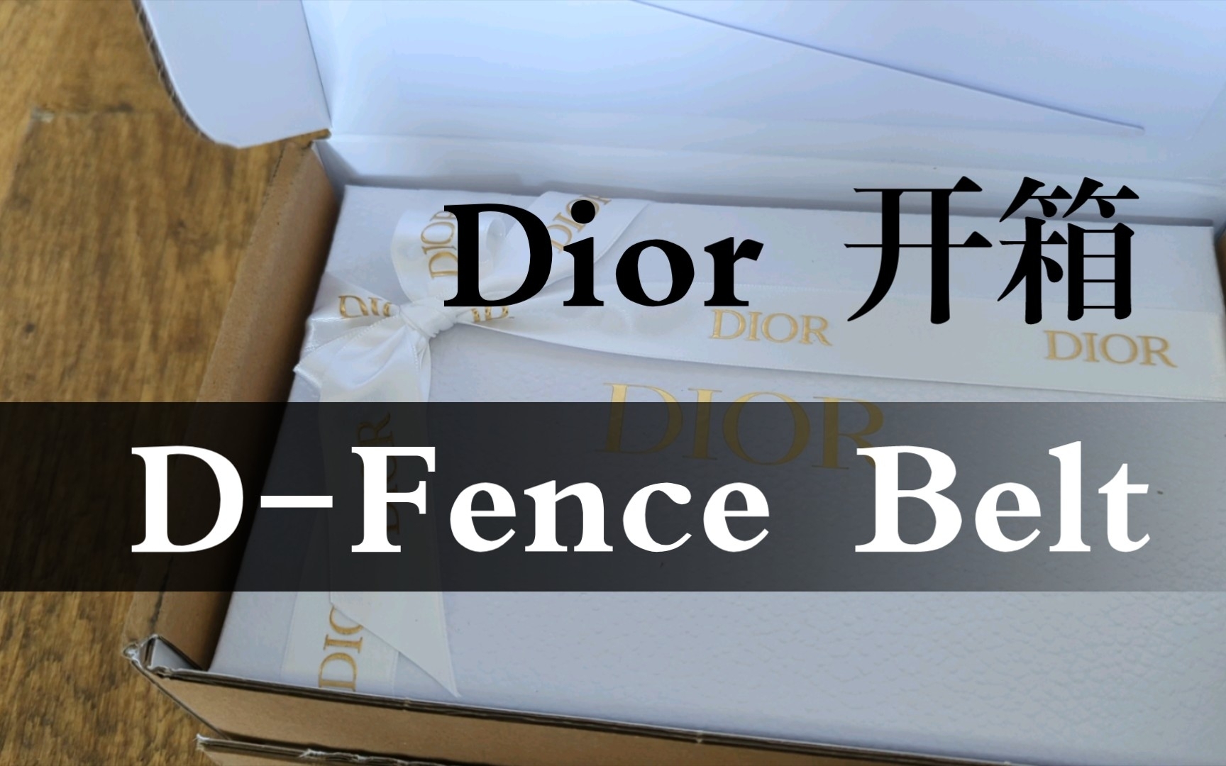 dior d-fence belt 皮帶開箱