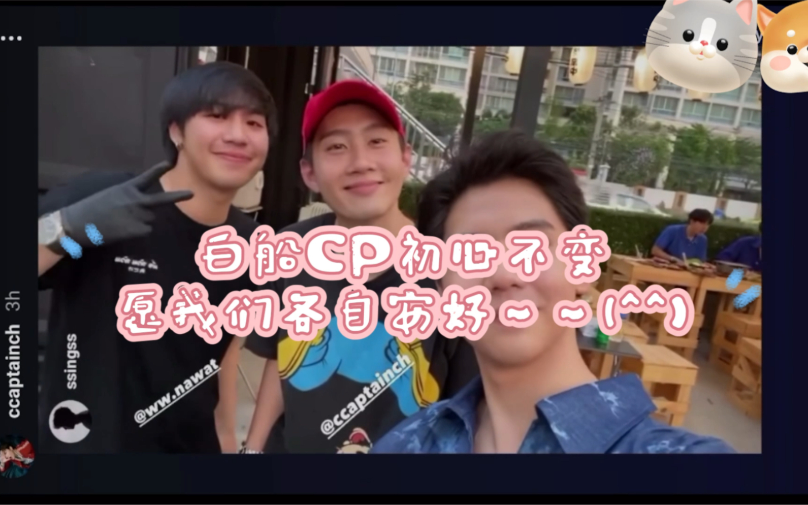 白船cp初心不变双向奔赴爱情就是最屌的你们就不要争了啊