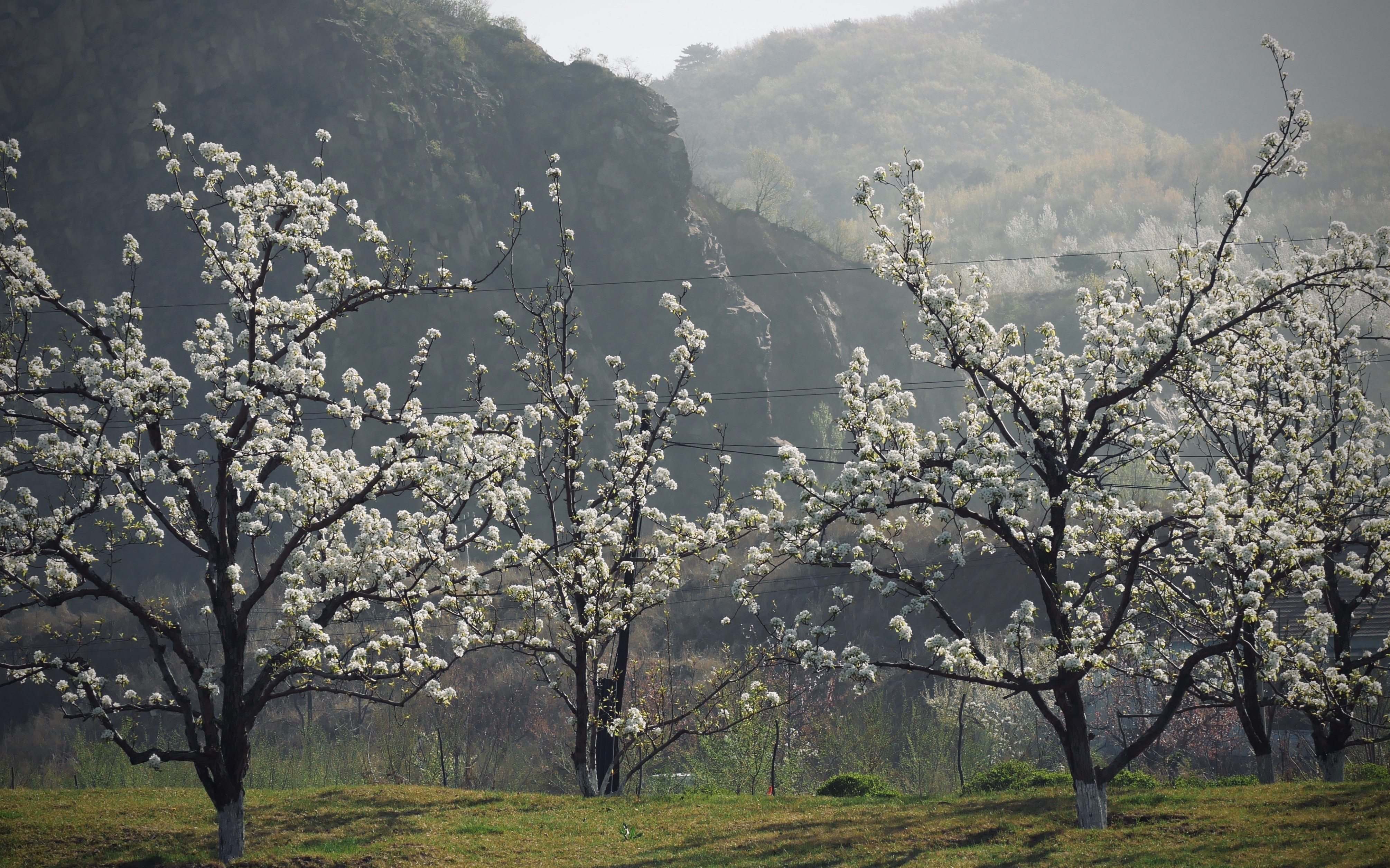 辽宁 鞍山 千山( 千朵莲花山) 松下GH4 1235镜头拍摄哔哩哔哩bilibili