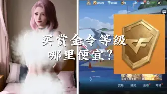 Download Video: 赏金令想弄点等级，哪合适？