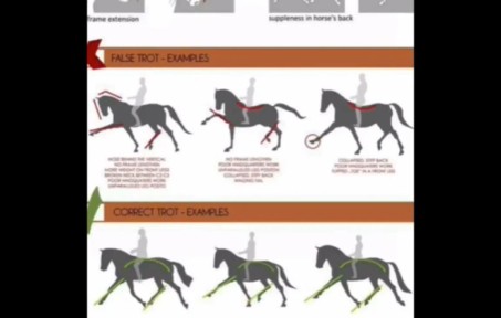 [图]What Happened To The Extended Trot_