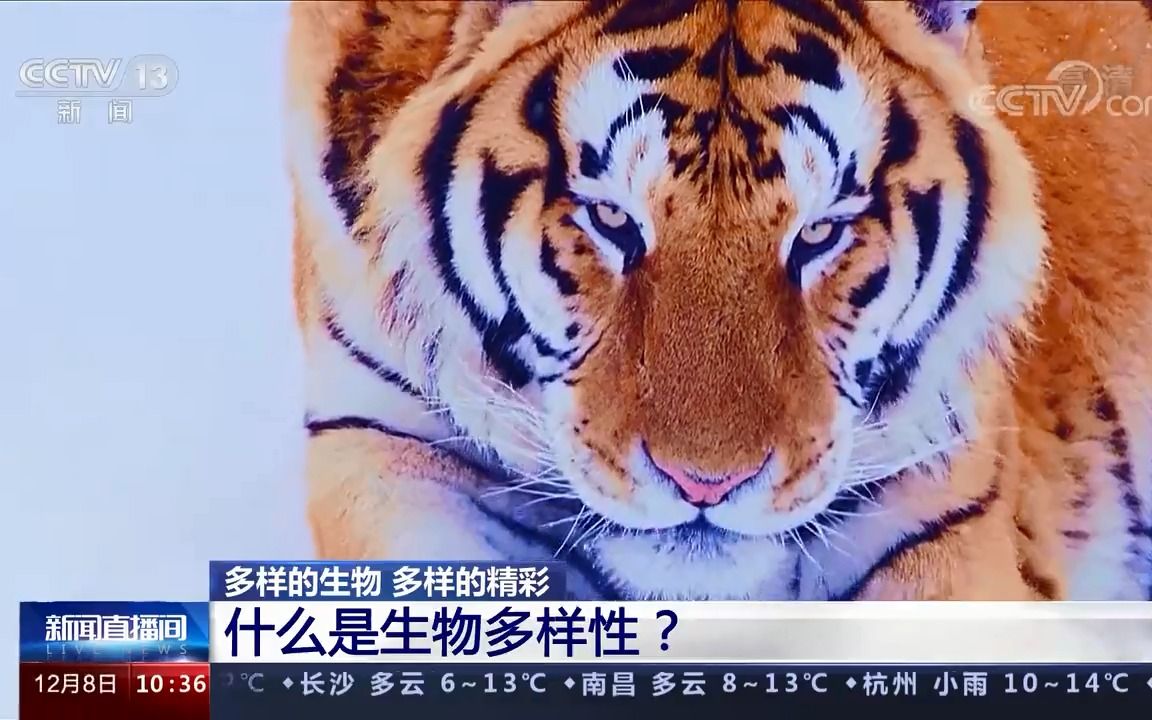 [图]什么是生物多样性？多样的生物，多样的精彩！关注《生物多样性公约》缔约方大会第十五次会议，COP15第二阶段会议