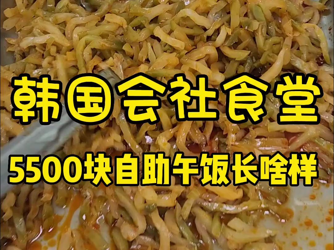 韩国会社食堂5500块自助午饭长啥样?今天这中华料理咋样?哔哩哔哩bilibili