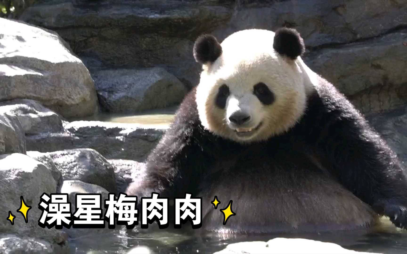 【梅兰肉肉】澡星肉姐爱洗澡,微笑卖萌少不了