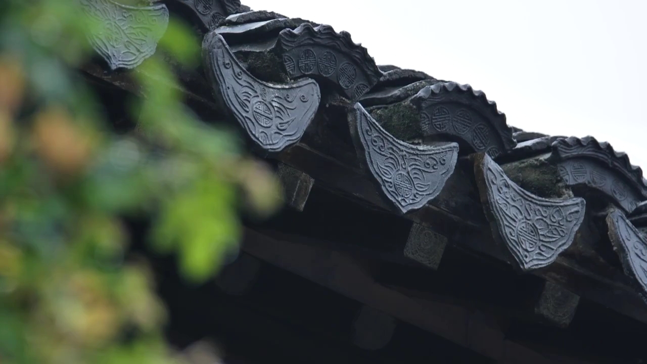 [图]烟雨入江南，山水如墨染，共赏江南风光。