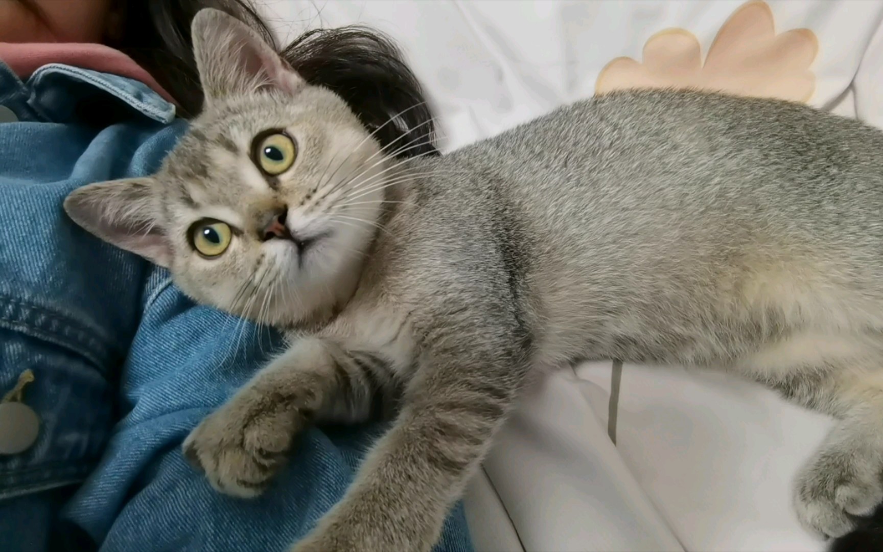 【周嘟嘟】自拍小猫