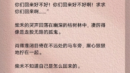 世人皆只知将军深情,自夫人早逝,一生再无续弦妻.世人不知的是,将军夫人当年,恰是死在将军剑下的.哔哩哔哩bilibili