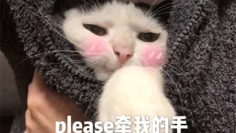 年度报告 若林悠纪的时光机 哔哩哔哩 Bilibili