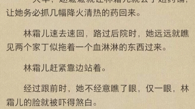 《婢子绝色》小说阅读《林霜儿 夜北承》小说免费阅读《娇软奴婢,又被强势王爷溺宠了》小说哔哩哔哩bilibili