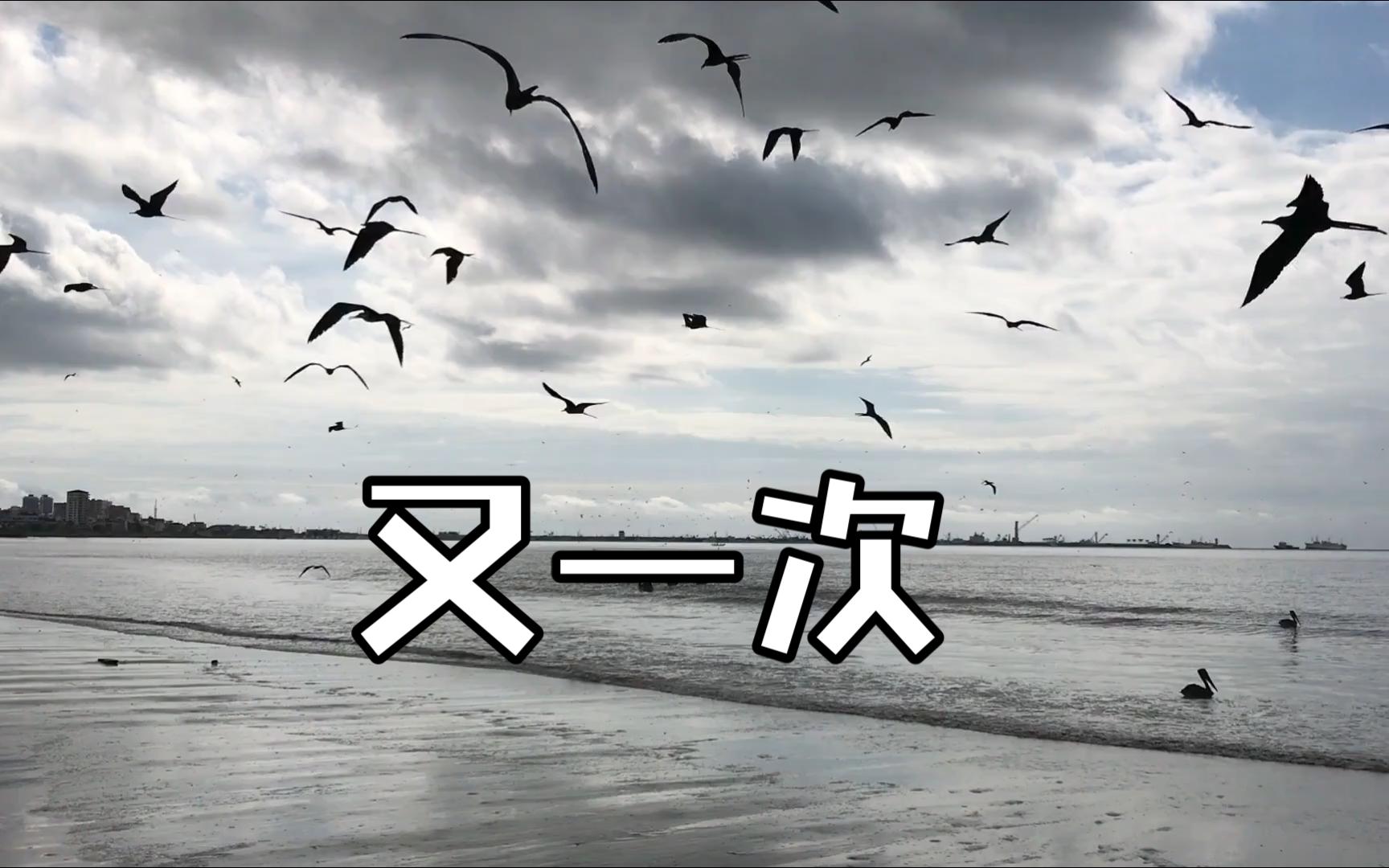 随风而去了吗