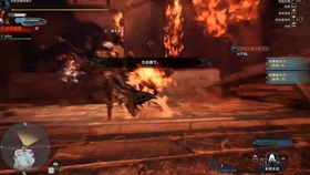 Mhr丨对回家玉的顶级理解 哔哩哔哩 つロ干杯 Bilibili