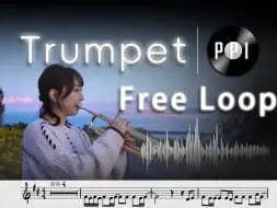 Скачать видео: 【小号谱】《Free loop》-Daniel Powter-附伴奏