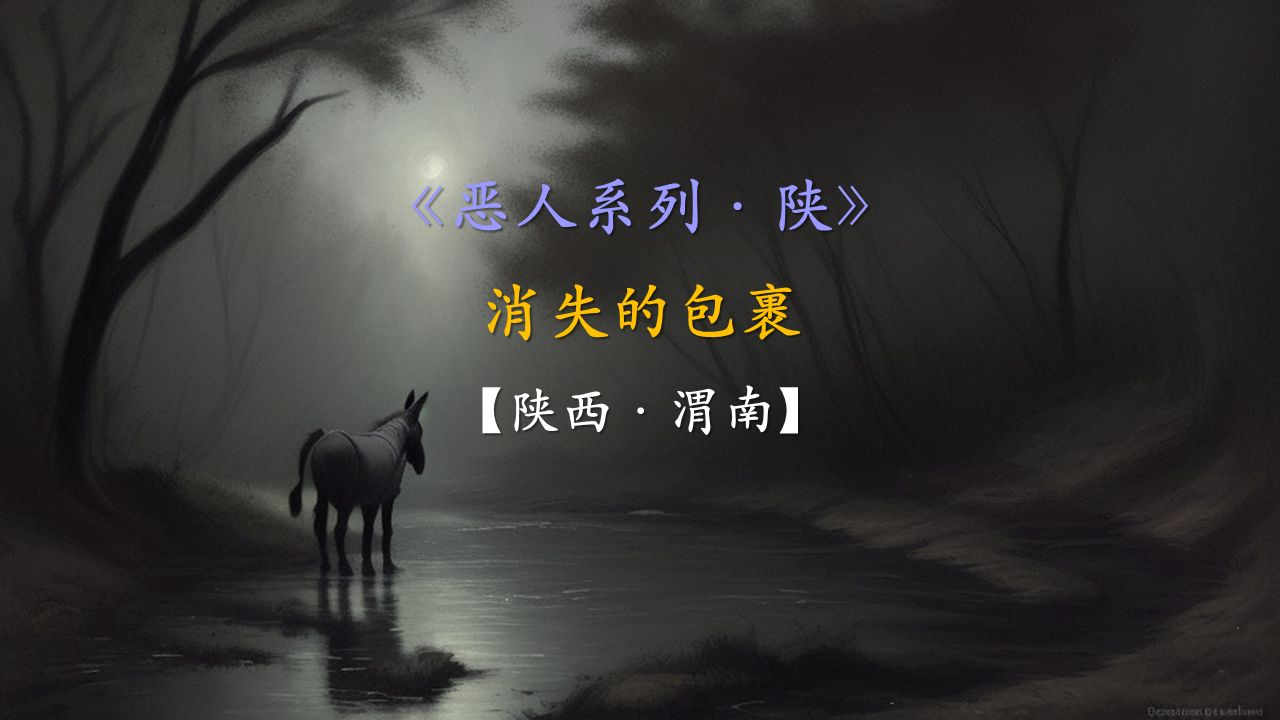 陕西渭南-消失的包裹