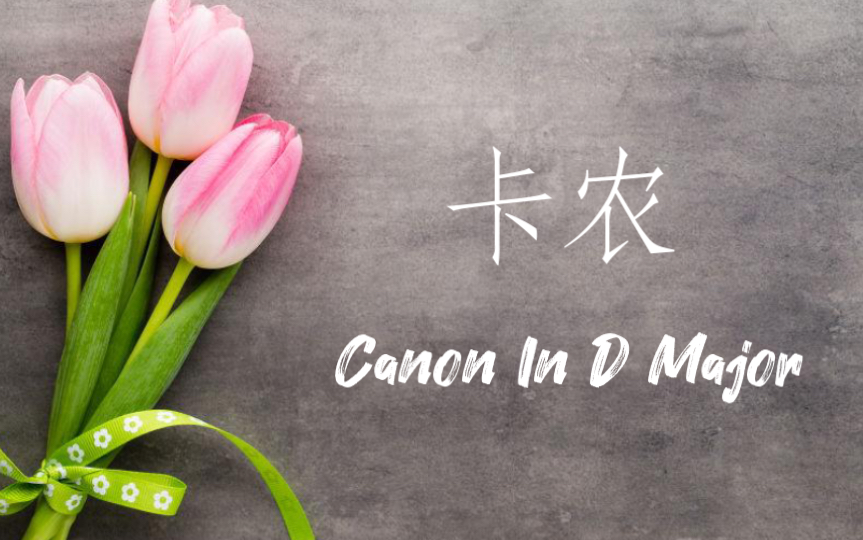 [图]钢琴｜D大调卡农（Canon in D）治愈系纯音乐