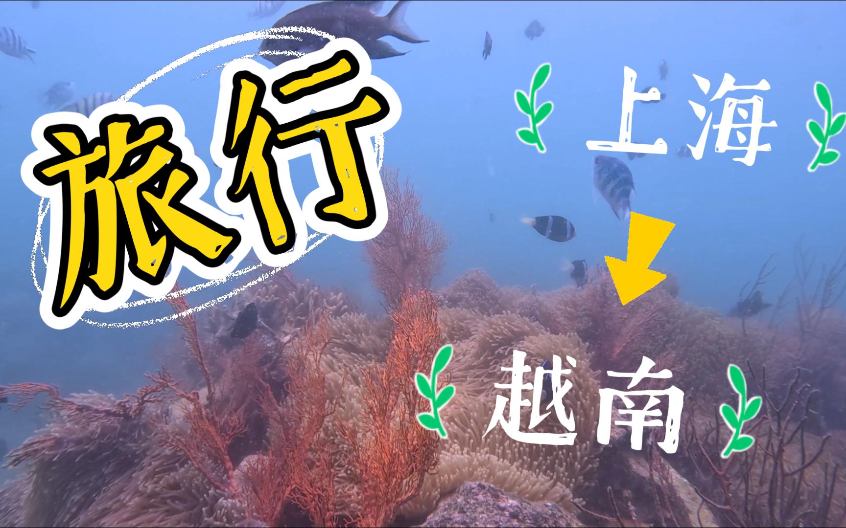 清空素材計劃·越南先行vlog 上天下海,在島上簡直玩瘋了!