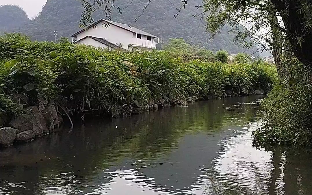 [图]"似水流年，我在沉默中呼喊你”