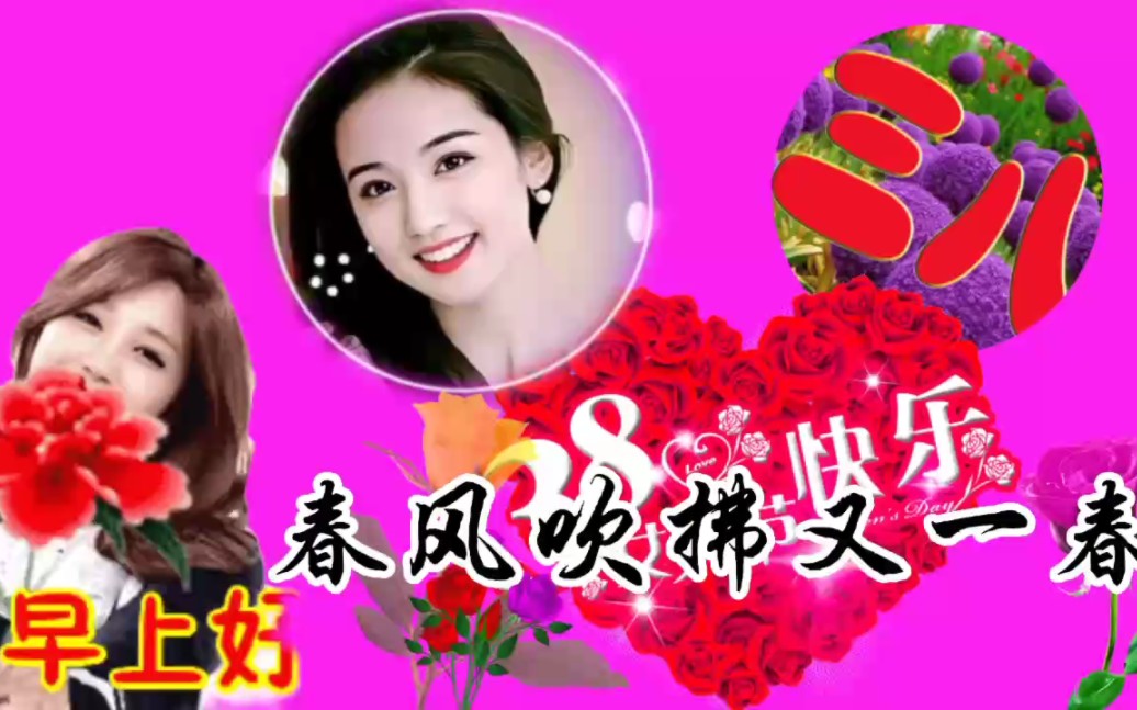 三八妇女节快乐!最美的祝福送给你.哔哩哔哩bilibili