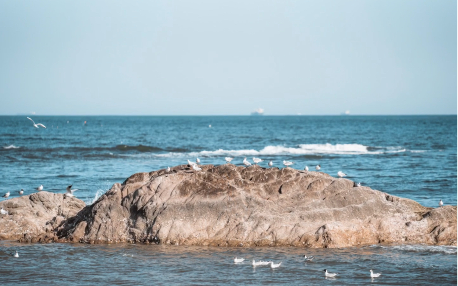 镜头下的北戴河中海滩2021/4