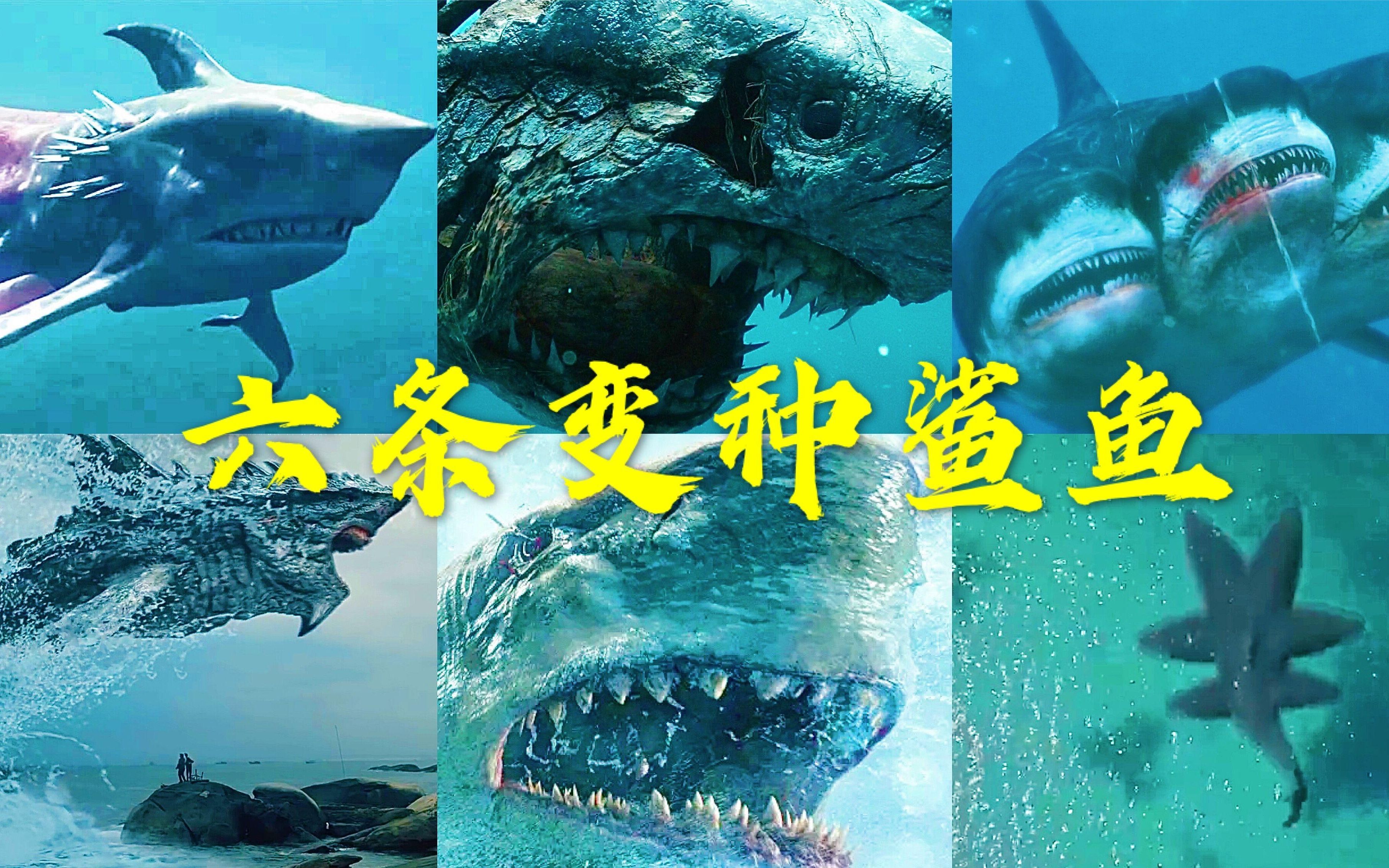 六条变种鲨鱼哪条比较厉害巨齿鲨能打过六头鲨吗