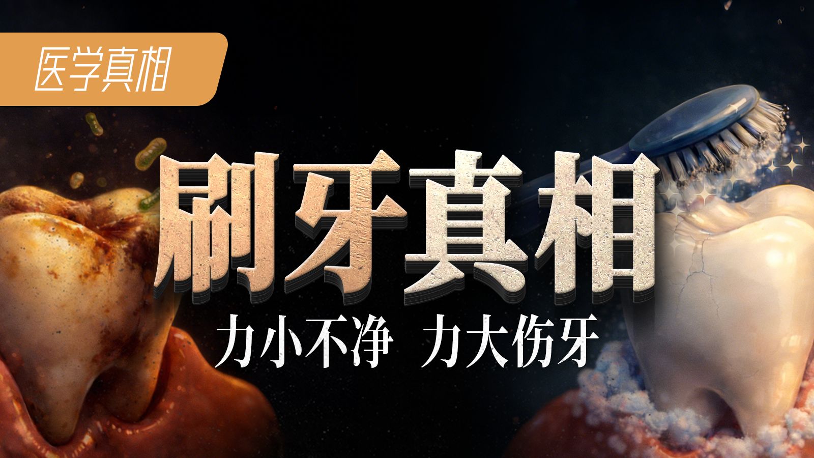 刷牙真相：为何动物从不刷牙却吃嘛嘛香？所以刷牙、洗牙是骗局吗？