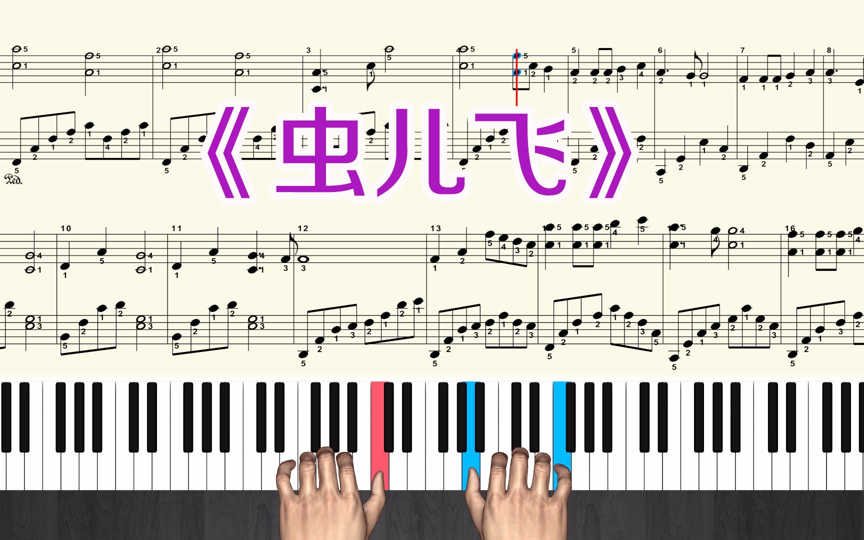 《虫儿飞》钢琴曲教学视频 钢琴谱带全部指法 演奏弹奏 慢速跟弹