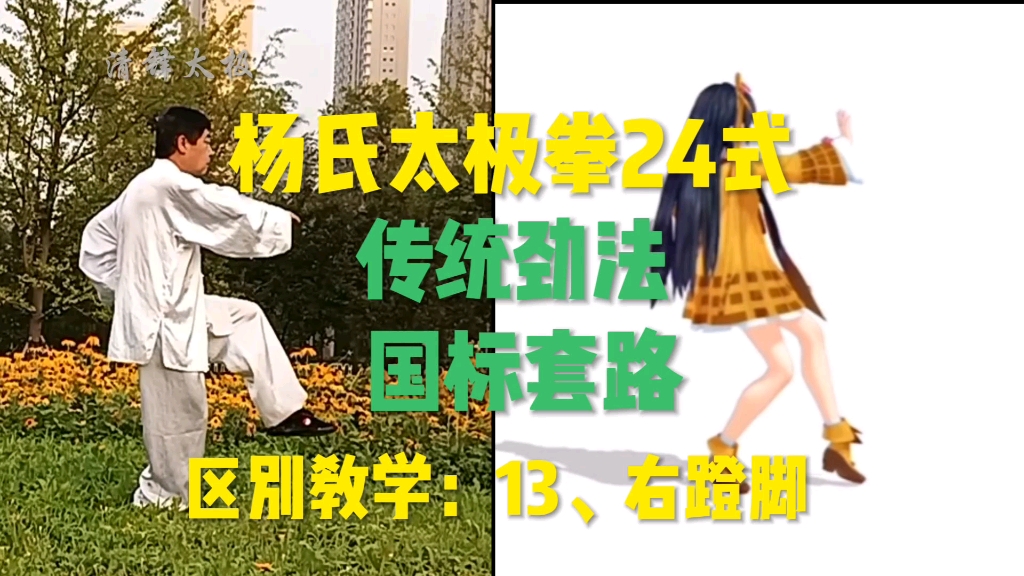 杨氏太极拳24式传统劲法与国标套路区别教学演示13,右蹬脚