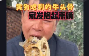 Descargar video: 黄狗吃剩的牛头骨家发抱起来啃