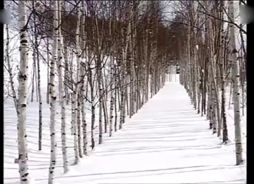 [图]曲剧《鞭打芦花》，李天方版本