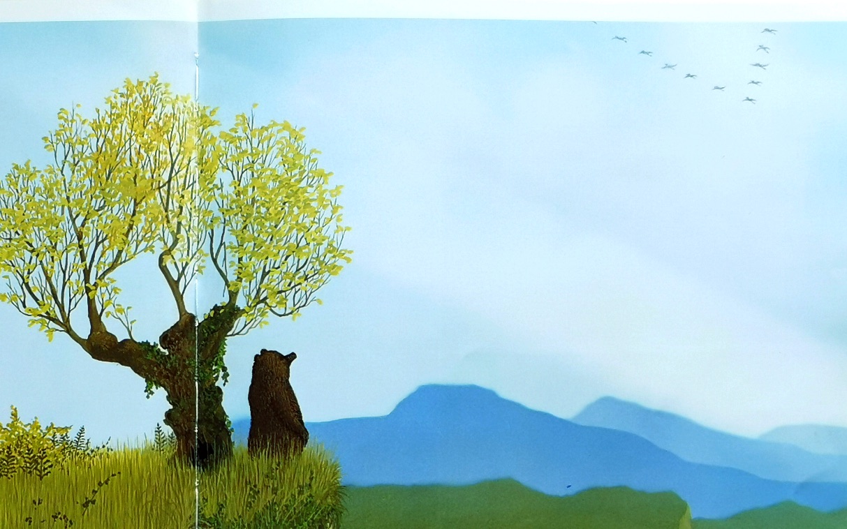 森林大熊~胡子高讲绘本~亲子共读好伙伴!