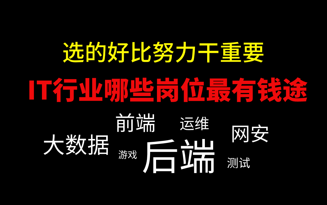 2024如何辨别选择IT行业最有发展空间、最赚钱的开发语言和程序员岗位——马士兵教育哔哩哔哩bilibili