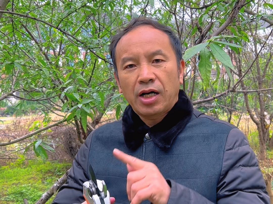 粮食批发中心邓建平简历介绍