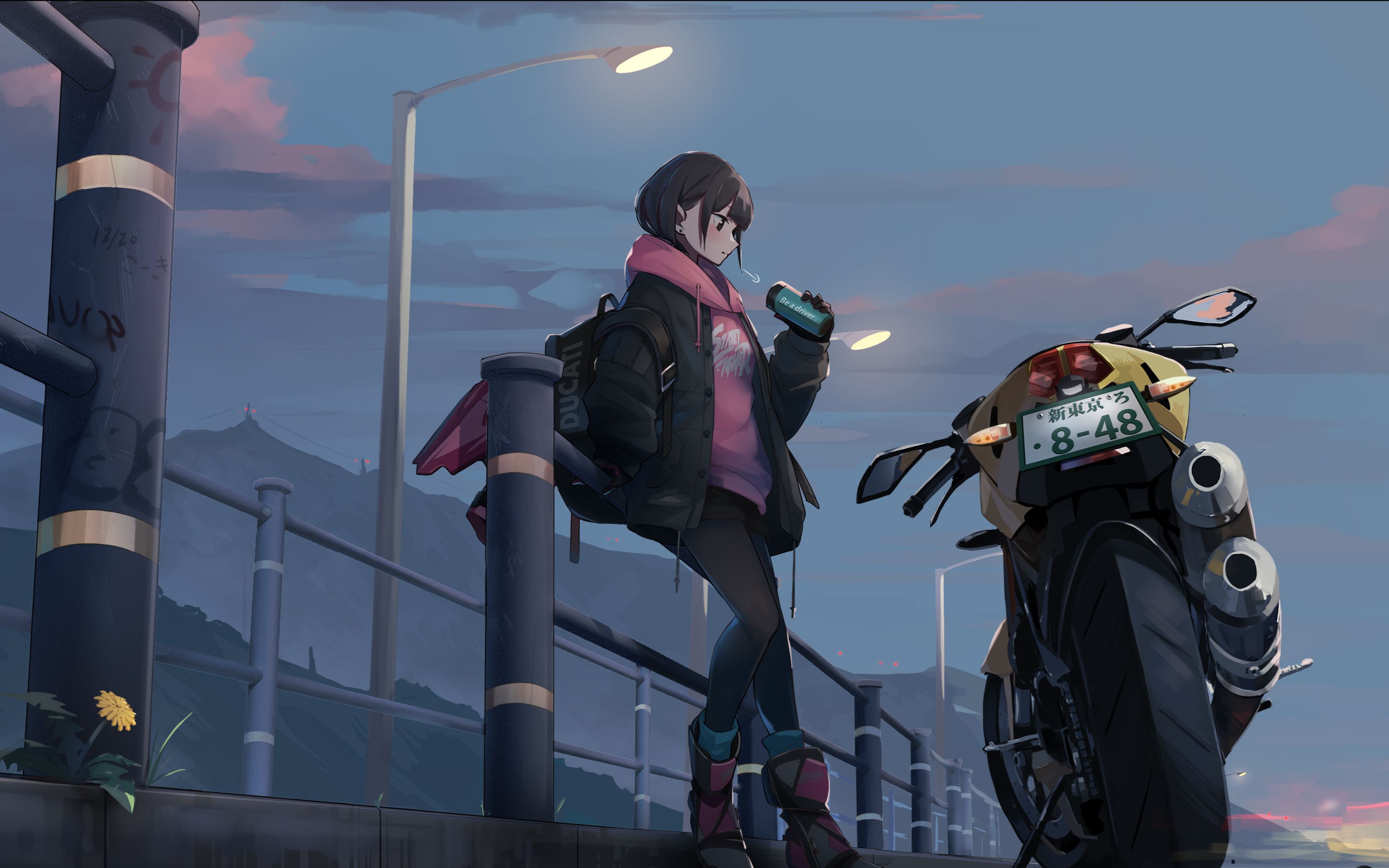 【mad·amv/漫综/踩点/治愈/1080p】一 路 向 北.