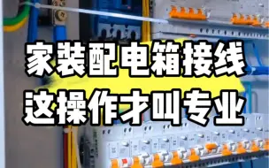 Download Video: 家装配电箱接线，这操作才是专业的