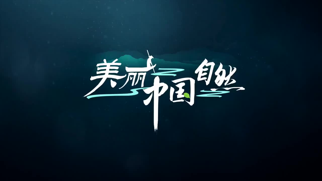 [图]《美丽中国：自然》系列（1080P 200集）|英语听力口语练习超棒素材 陆续上传