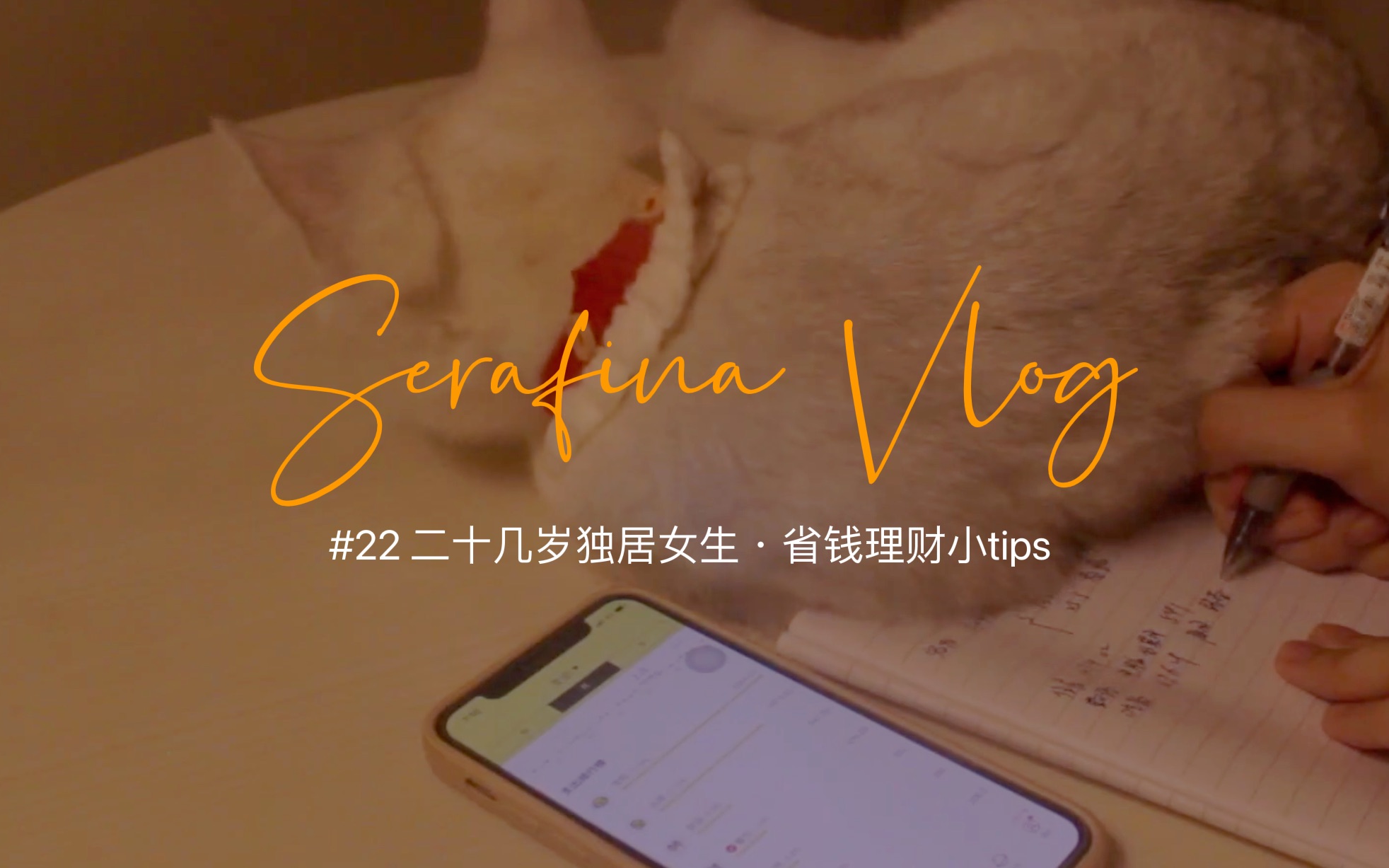 [图]治愈Vlog｜二十几岁的独居女生·四个省钱理财小tips