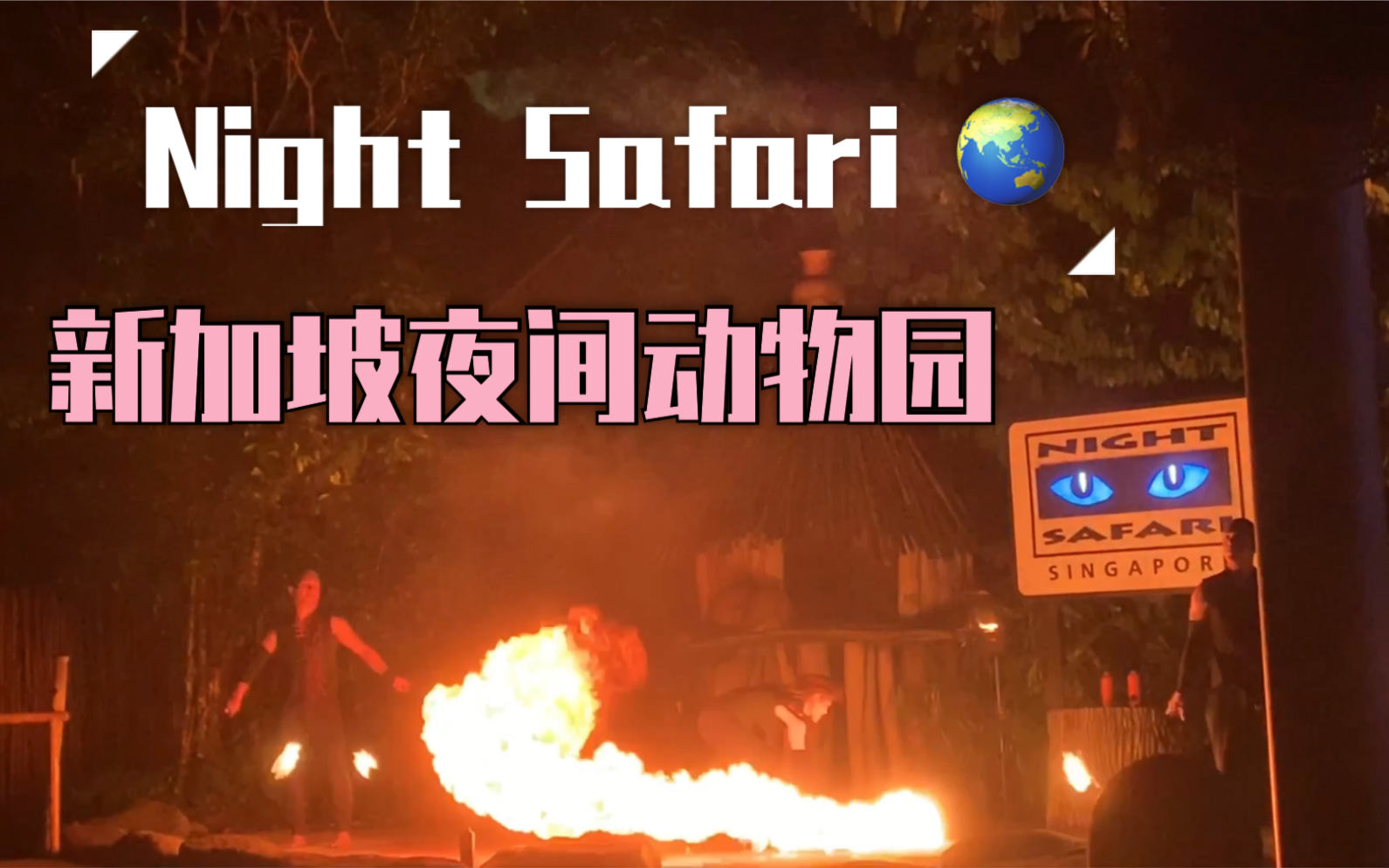 【Night Safari】新加坡夜间动物园之旅~哔哩哔哩bilibili