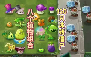 Download Video: 八个植物组合挑战150只冰砖僵尸，谁能成功？