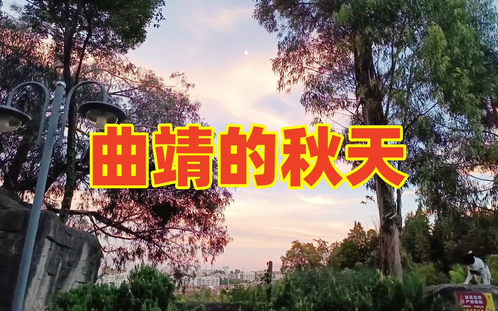 曲靖的四季有何特点?为何我最爱曲靖的秋天!哔哩哔哩bilibili