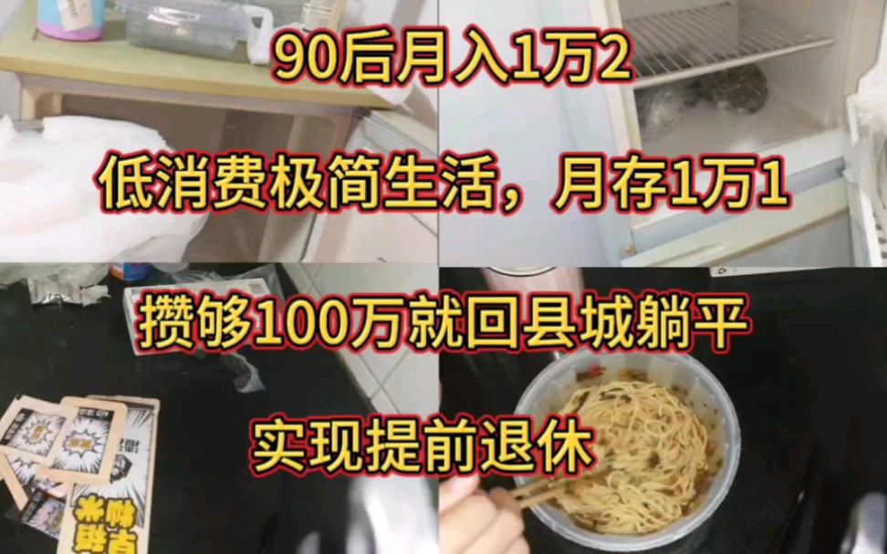 月入1万2,月存1万1,低消费极简生活,攒够100万就回县城躺平|新的一年,加油存钱!哔哩哔哩bilibili