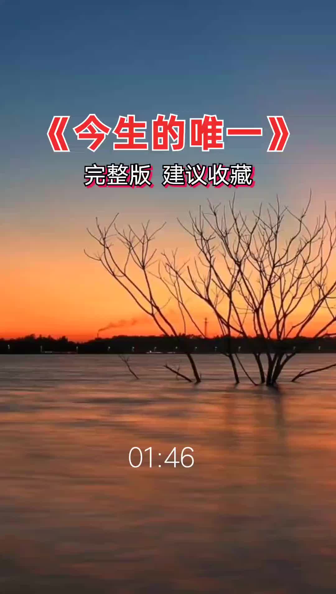 抖音热歌百听不厌完整版今生的唯一可可音乐