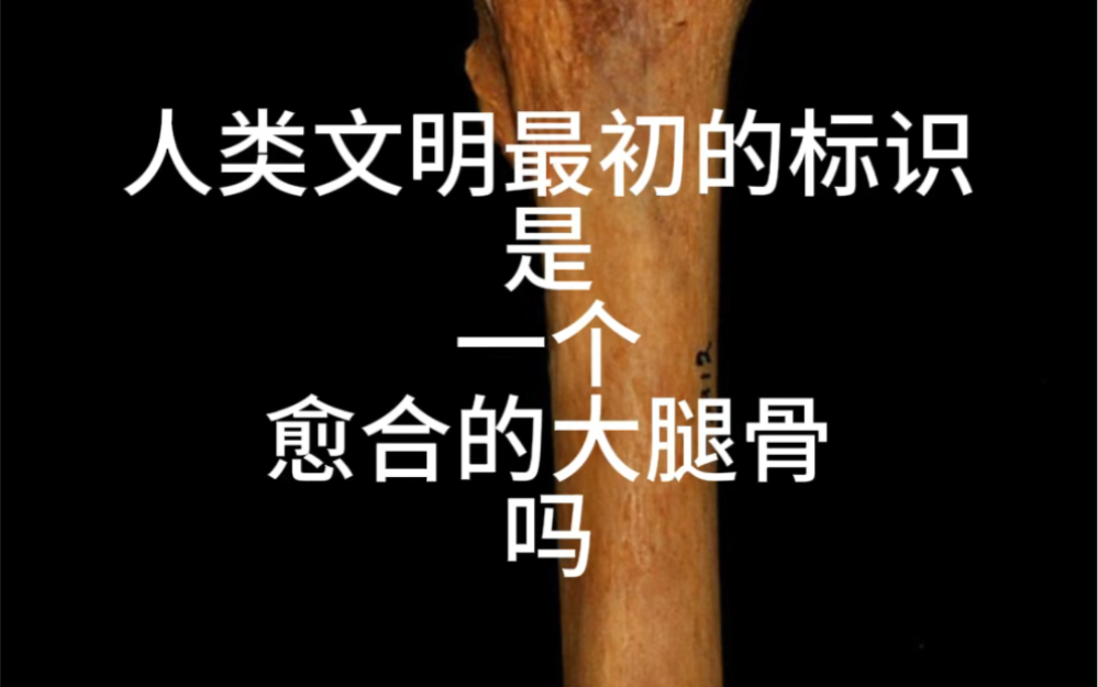 #人类文明最初的标识是一根愈合的大腿骨 ,你听说过这种说法吗?据说是美国著名#人类学家 #玛格丽特米德 的名言,国内很多学者、人物都比较认可,那...