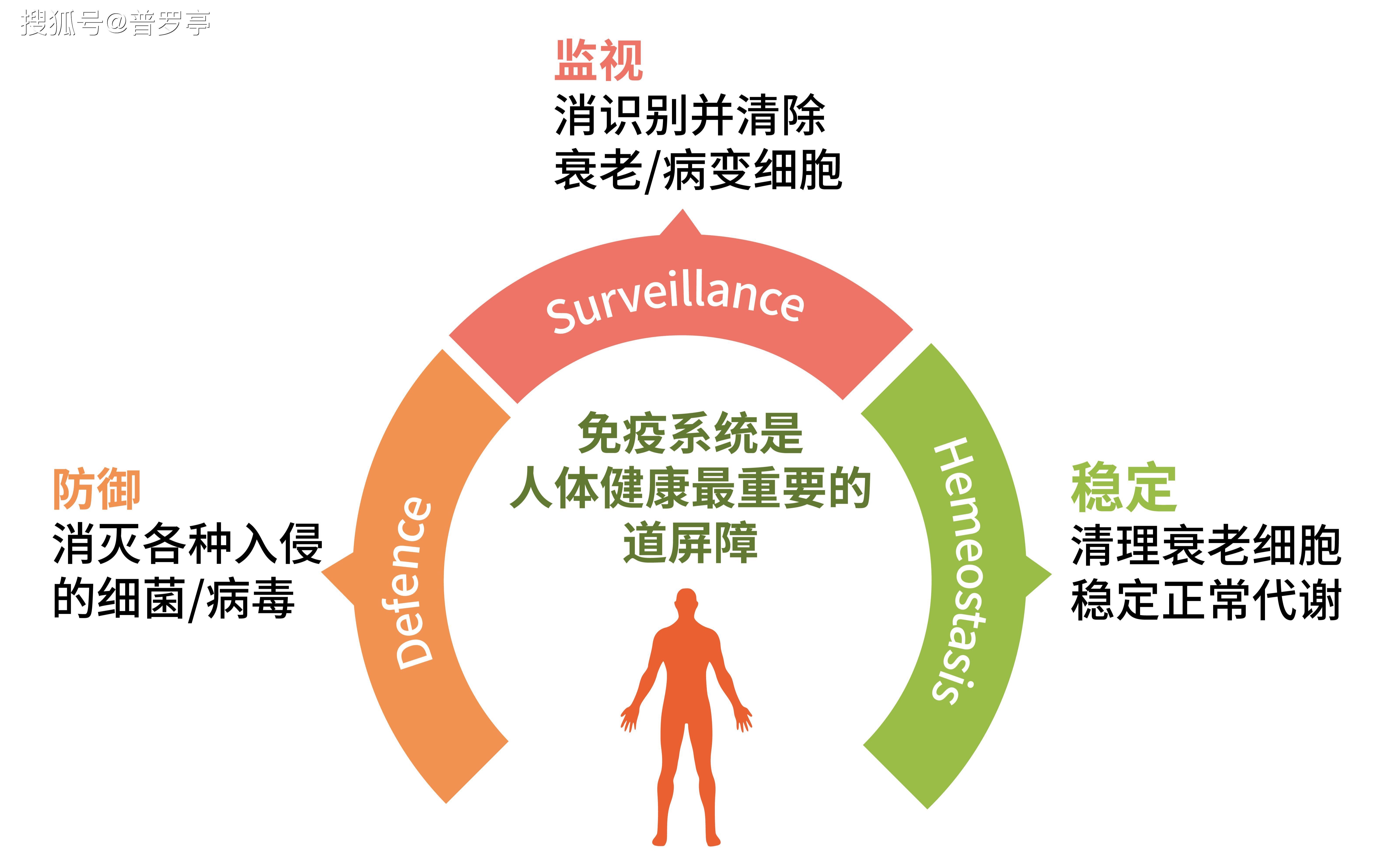 3月19日 每日一题 生物钟小课堂 生地会考