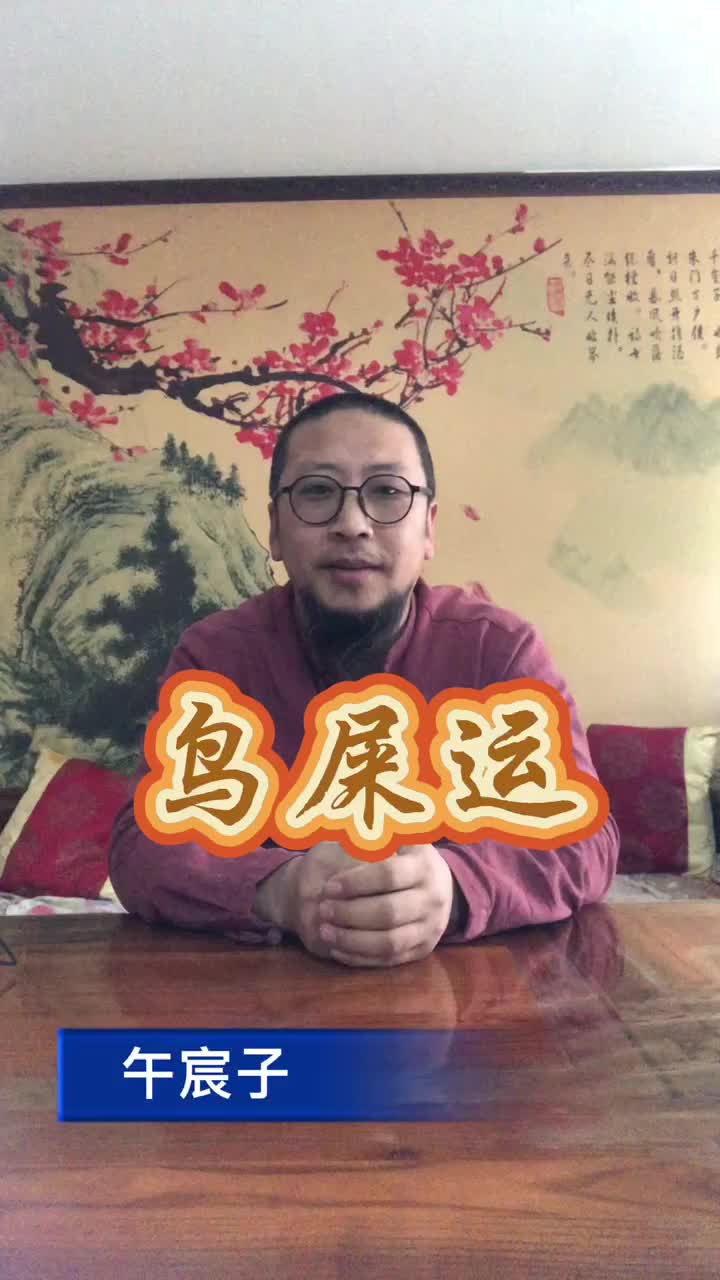 午宸子讲鸟屎落头好还是不好有什么讲究怎么去办?哔哩哔哩bilibili