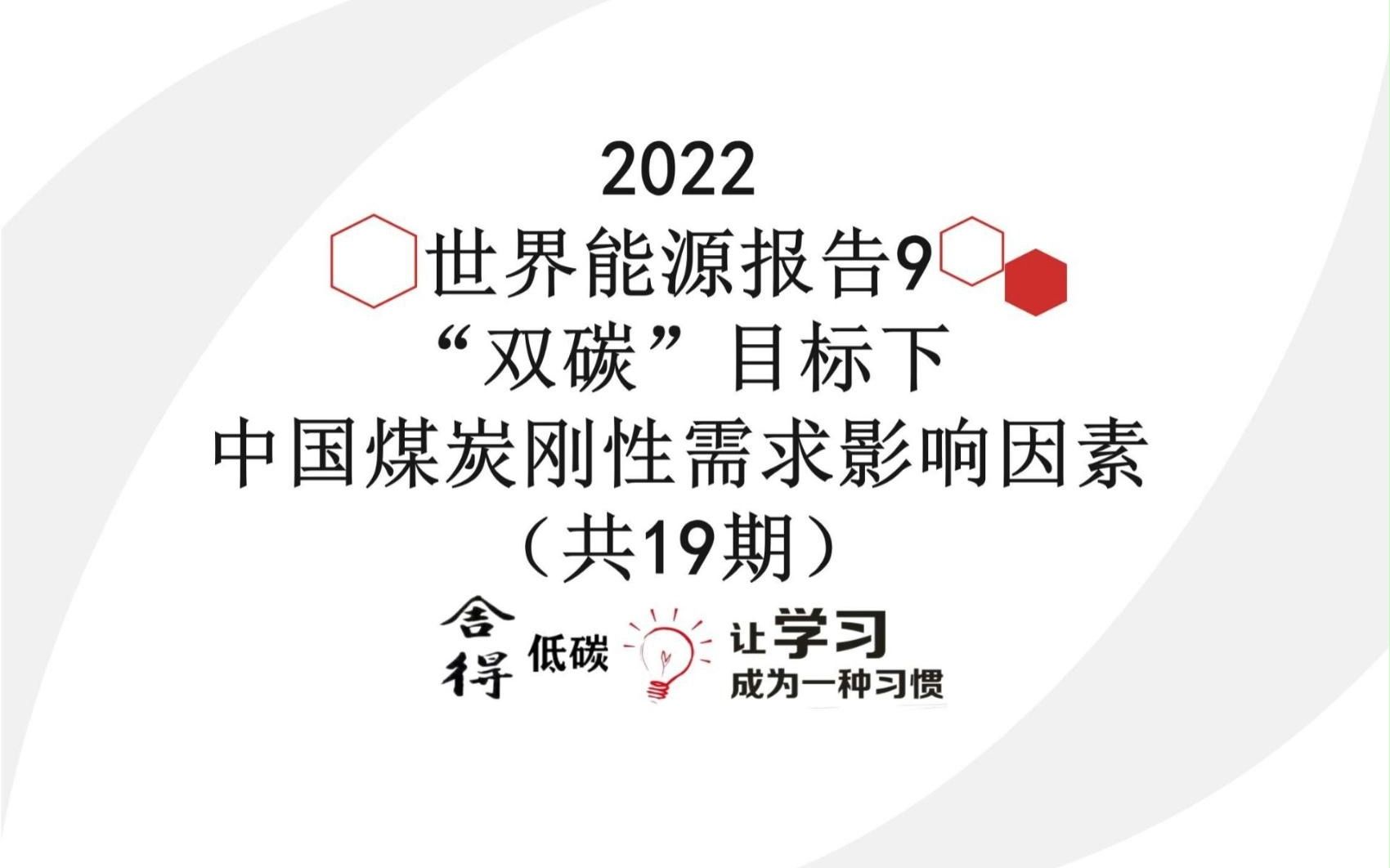 [图]世界能源发展报告（2022)-9_“双碳”目标下中国煤炭刚性需求影响因素