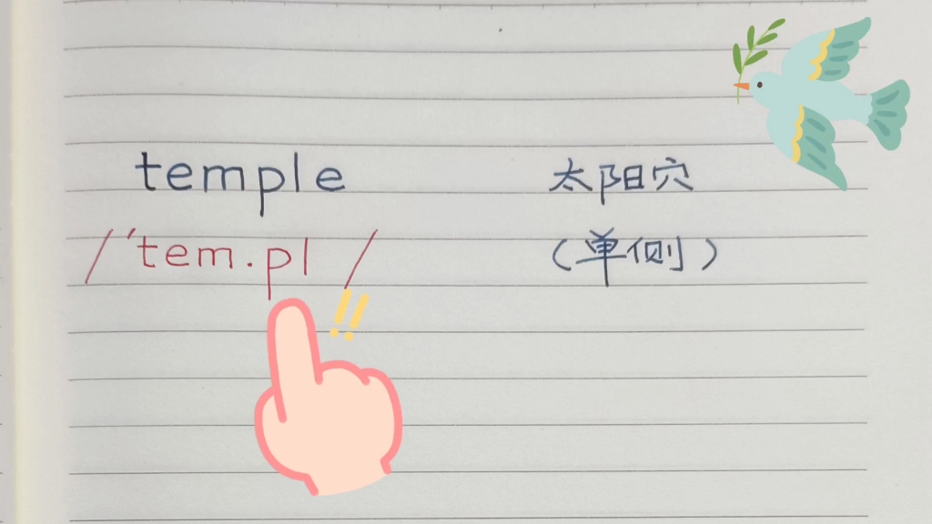 学单词 temple,temples太阳穴哔哩哔哩bilibili